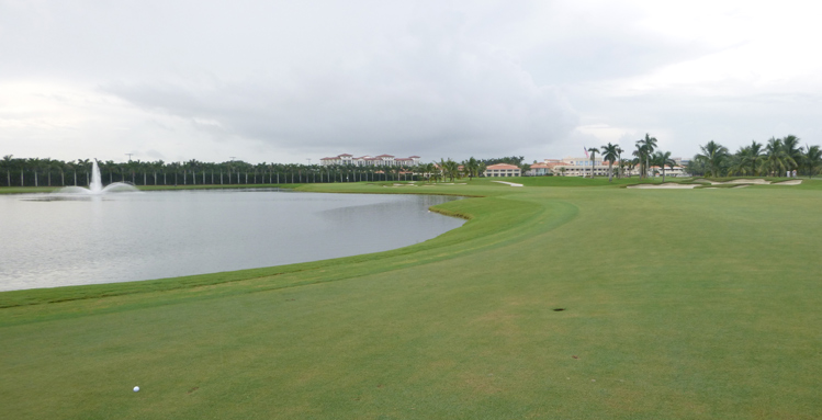 Miami Golf Picture