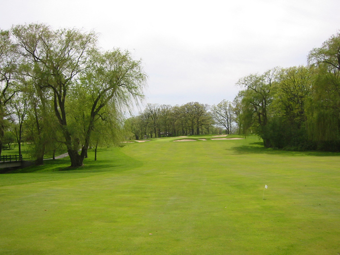 Cog Hill Hole #8 Picture