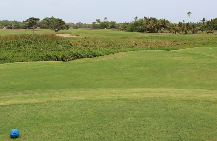 Puerto Rico Golf COurse Picture