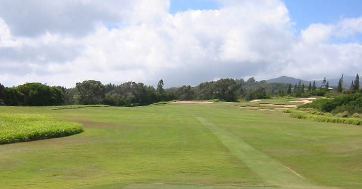 Maui Golf Picture, Plantation Course #14 Photo