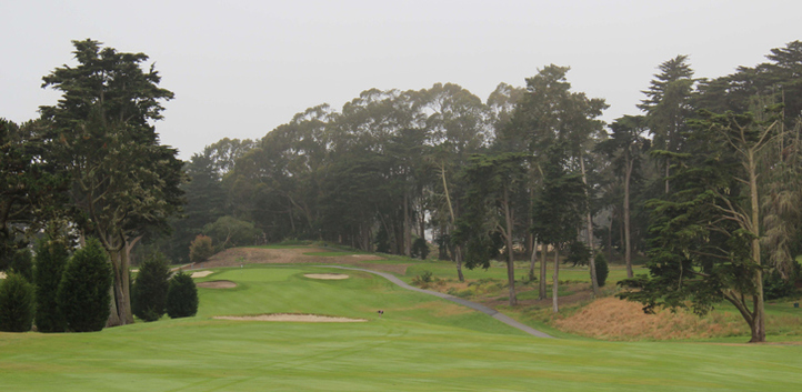 San Francisco Golf Picture, Presidio Golf Photo