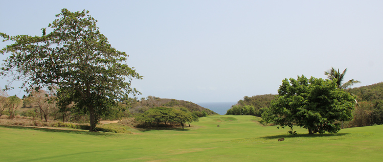 Royal Isabela Golf Course Review Picture