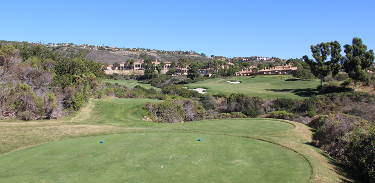 Pelican Hill Ocean Course Golf Picture