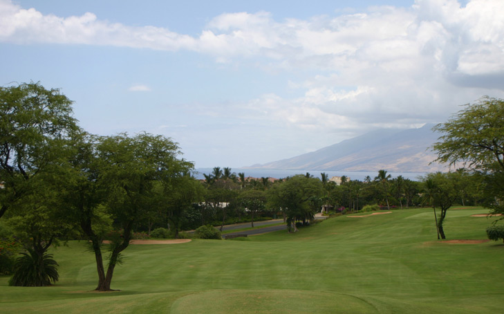 Maui Golf Photo, Wailea Blue #5 Photo