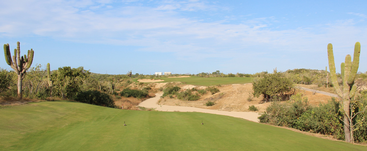 Diamante El Cardonal Golf Course Review Picture
