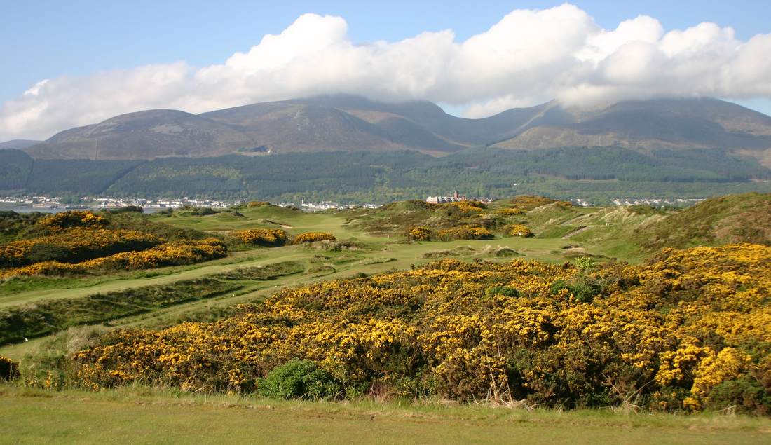 Royal County Down Golf #4 Picture