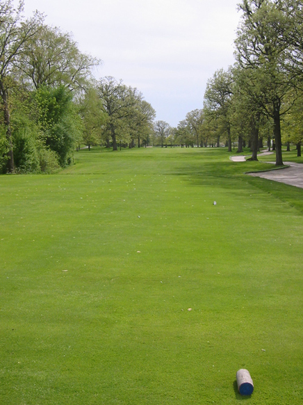 Top Illinois Golf Review Picture