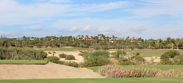 Cabo del Sol Golf Review Picture