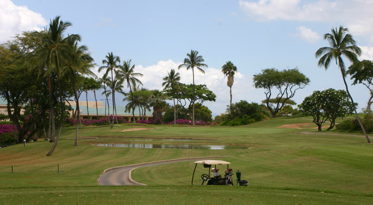 Maui Golf Photo, Wailea Blue #2 Photo