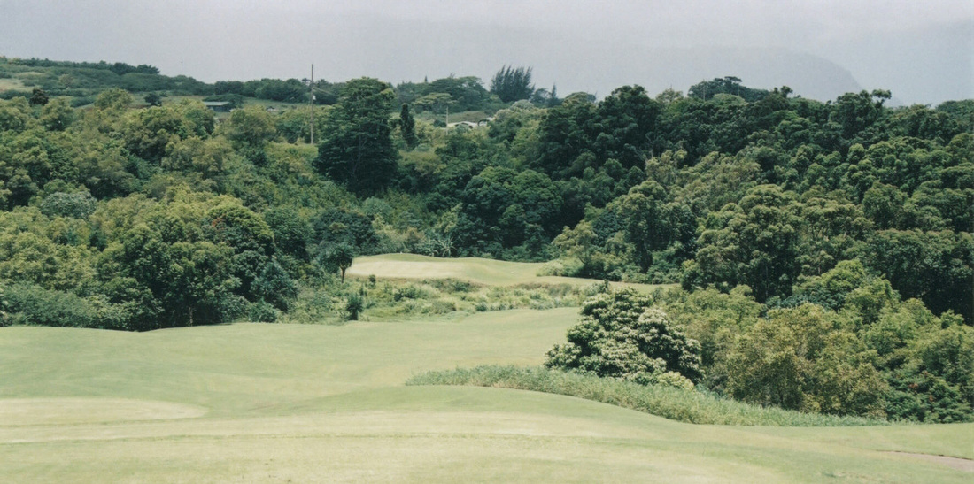 Princeville Prince Golf Hole #1 Picture