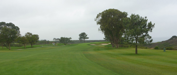 torrey pines south review Picture, torrey pines south #7 photo