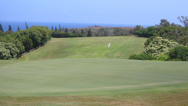 Maui Golf Picture, Plantation Course #15 Photo, plantation golf photo