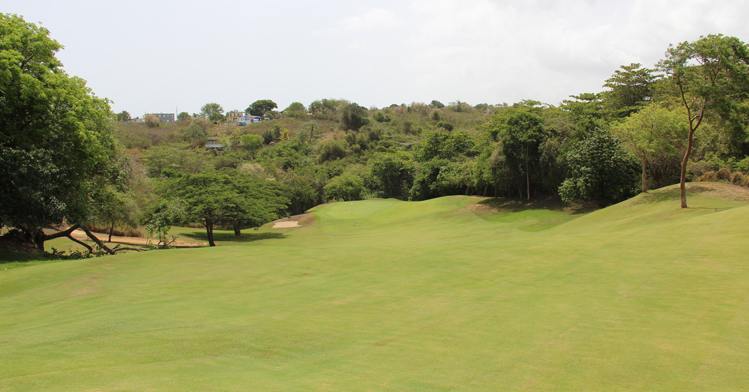 Royal Isabela Golf Picture