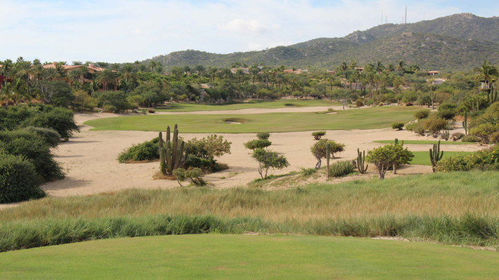 Cabo del Sol Ocean Hole #8 Golf Picture