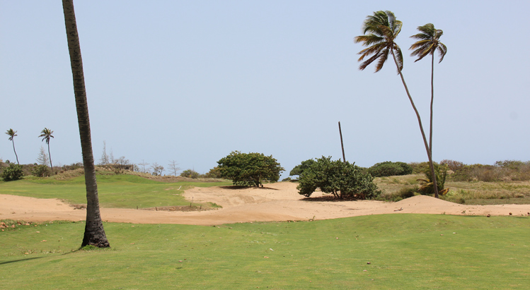 Royal Isabela Golf #13 Picture
