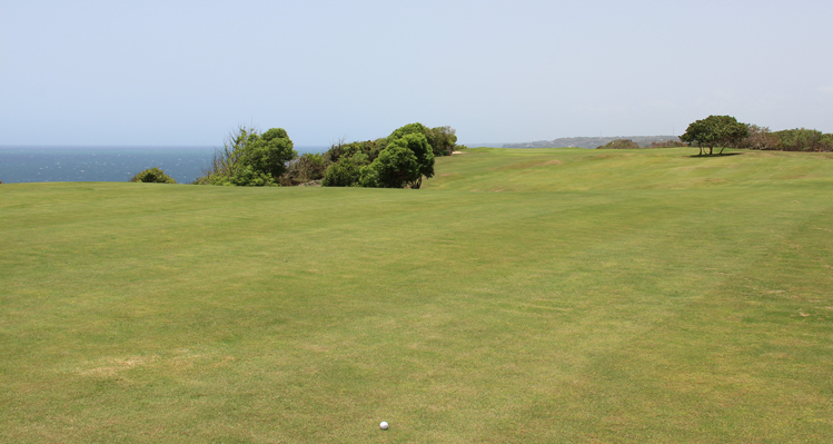 Royal Isabela Puerto Rico Golf Picture