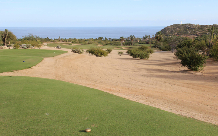 Cabo del Sol Golf Review Picture