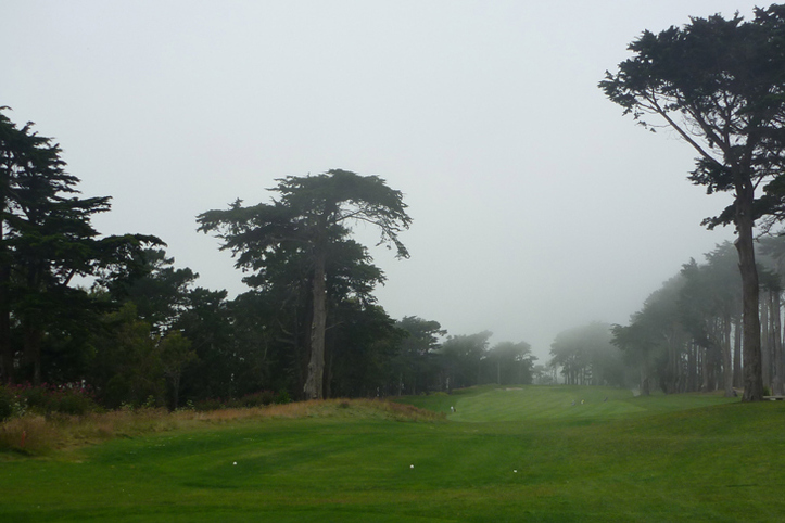 San Francisco Golf Picture, TPC Harding Park Photo
