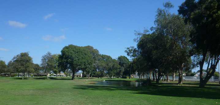 Meadowlark Golf Course Picture