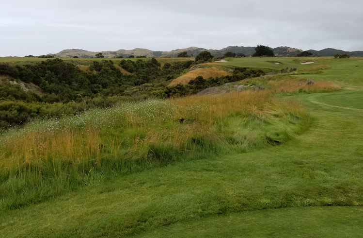 Cape Kidnappers Golf #11 Picture
