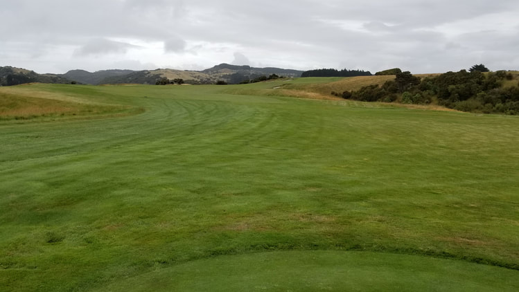 Cape Kidnappers Golf #17 Picture