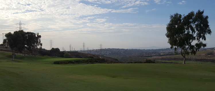 Top Carlsbad Golf Picture