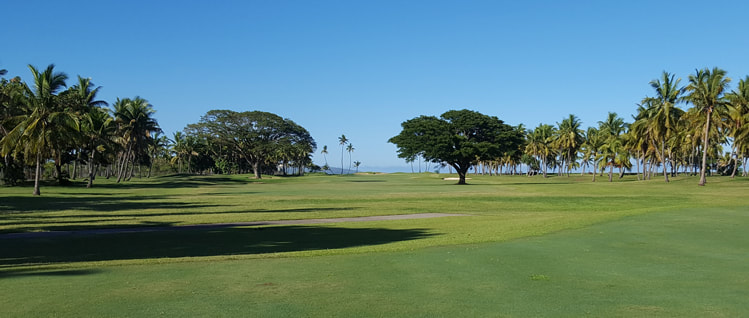 Top Fiji Ocean View Golf Hole Picture