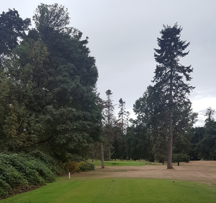 Golf Club of Oregon Course Review Picture