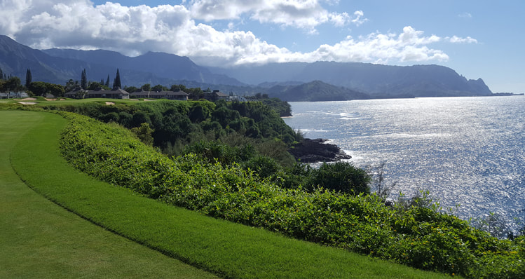 top hawaii golf Picture