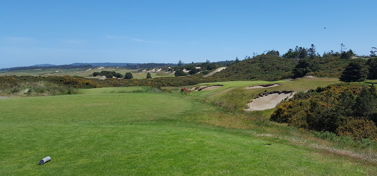Pacific Dunes Golf Hole 17 Picture