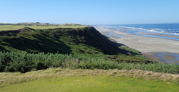 Pacific Dunes Golf Picture