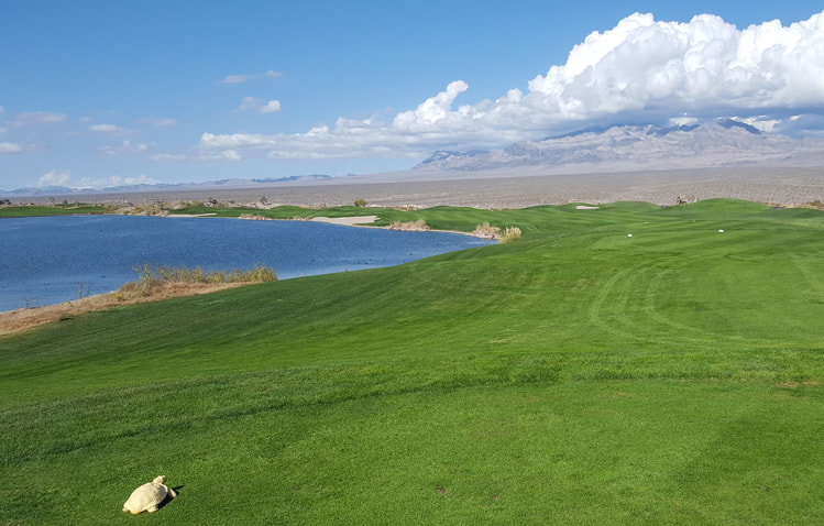 Las Vegas Golf Course Review Picture