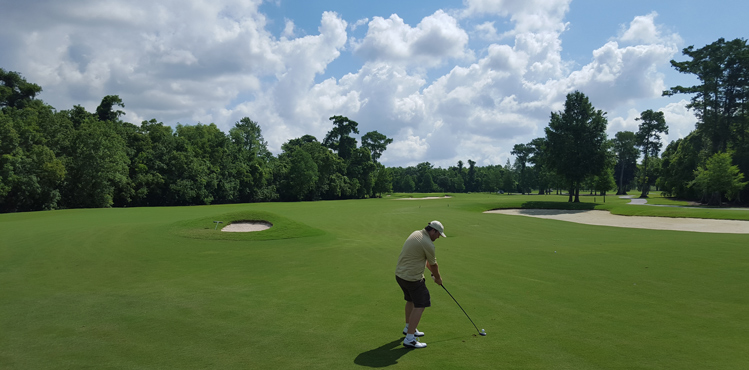 TPC Louisiana Golf #7 Picture