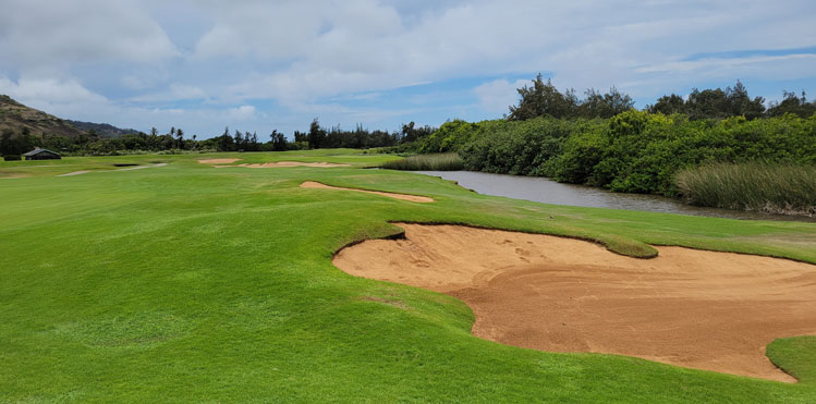 Turtle Bay Palmer Golf Hole #6 Picture